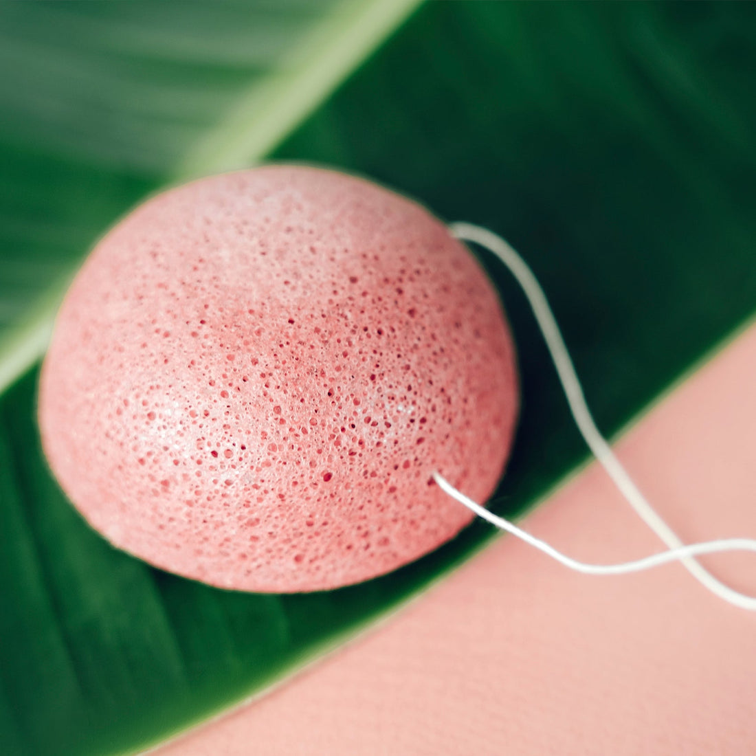 BRÜUN Konjac Puff Sponge for Face and Body | Natural and Reusable Scrubber for Cleaning Make up and Dust for All Skin Types SH-Konjac Facepuff sponge Bruun Beauty
